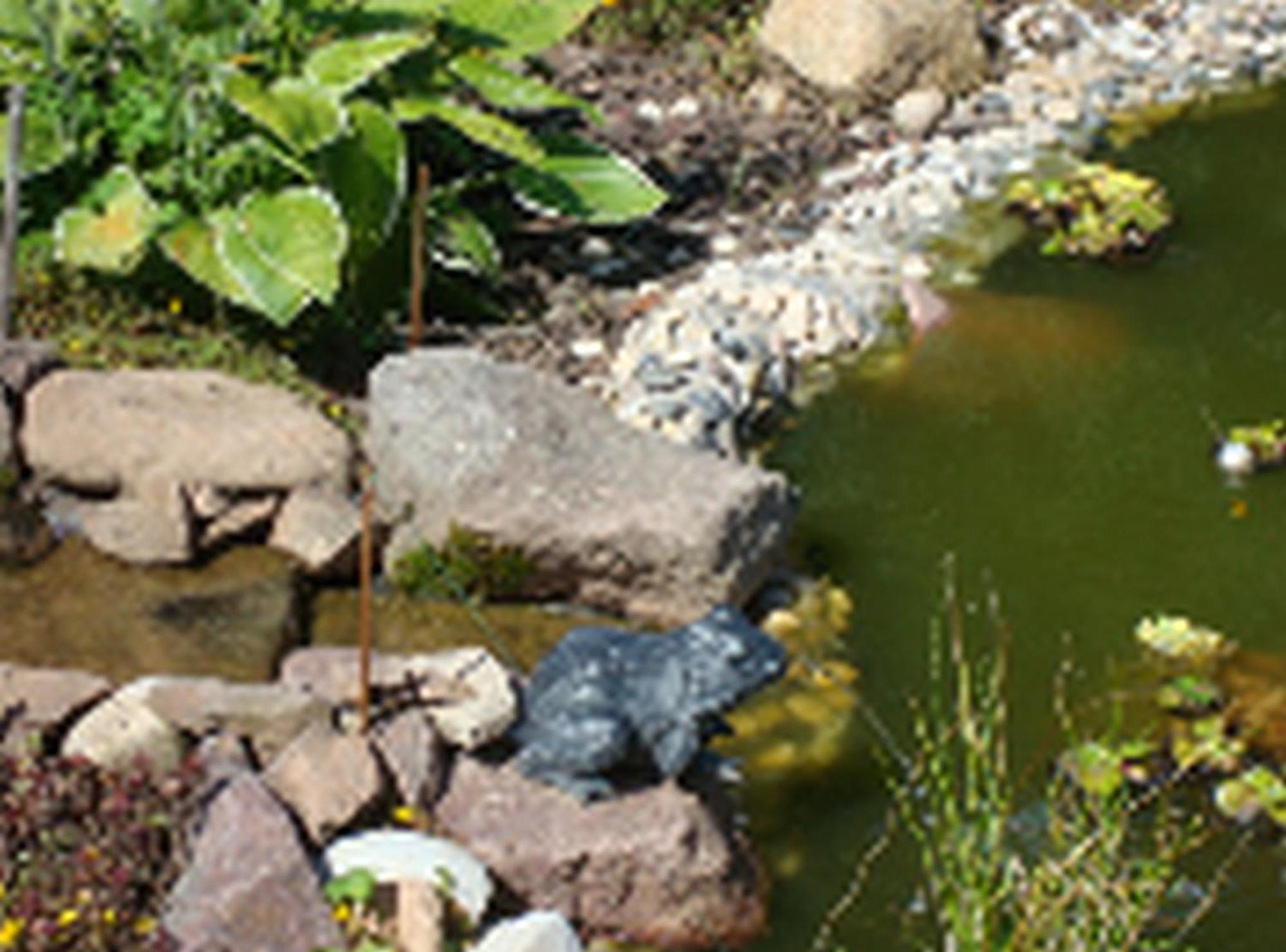 Le Clos Pré La Voivre  Extérieur photo